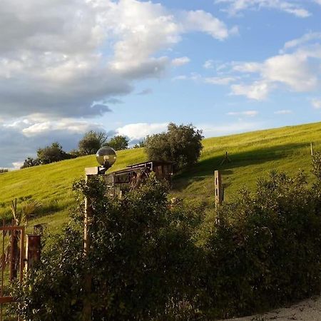 Villa Marcella Casa Vacanza Grottazzolina Zewnętrze zdjęcie