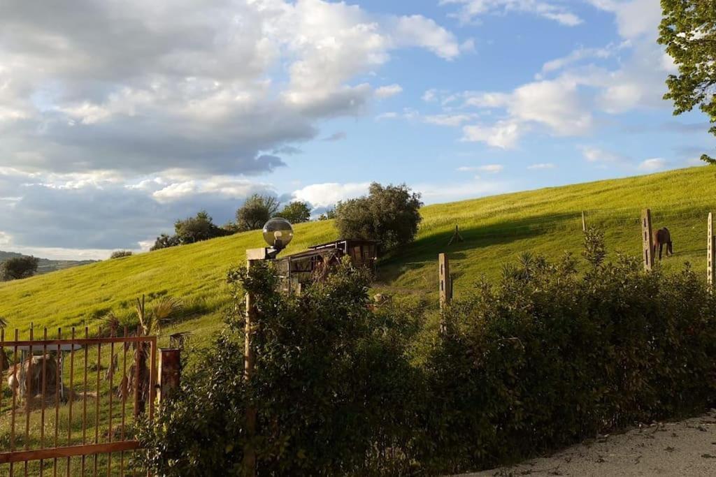 Villa Marcella Casa Vacanza Grottazzolina Zewnętrze zdjęcie